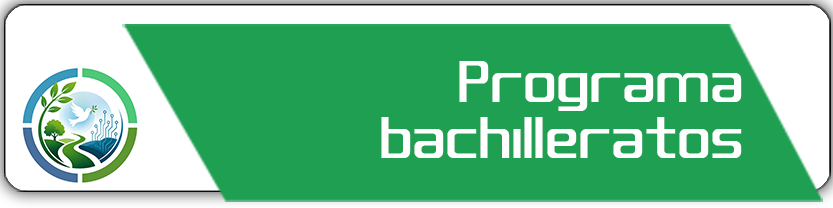 Programa bachillerato