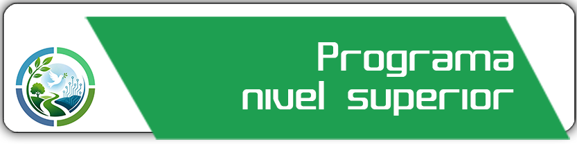 Programa nivel superior