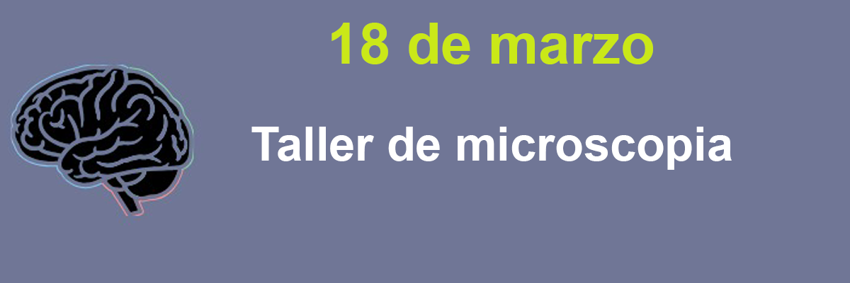 taller microscopia