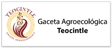 Gaceta agroecológica Teocintle