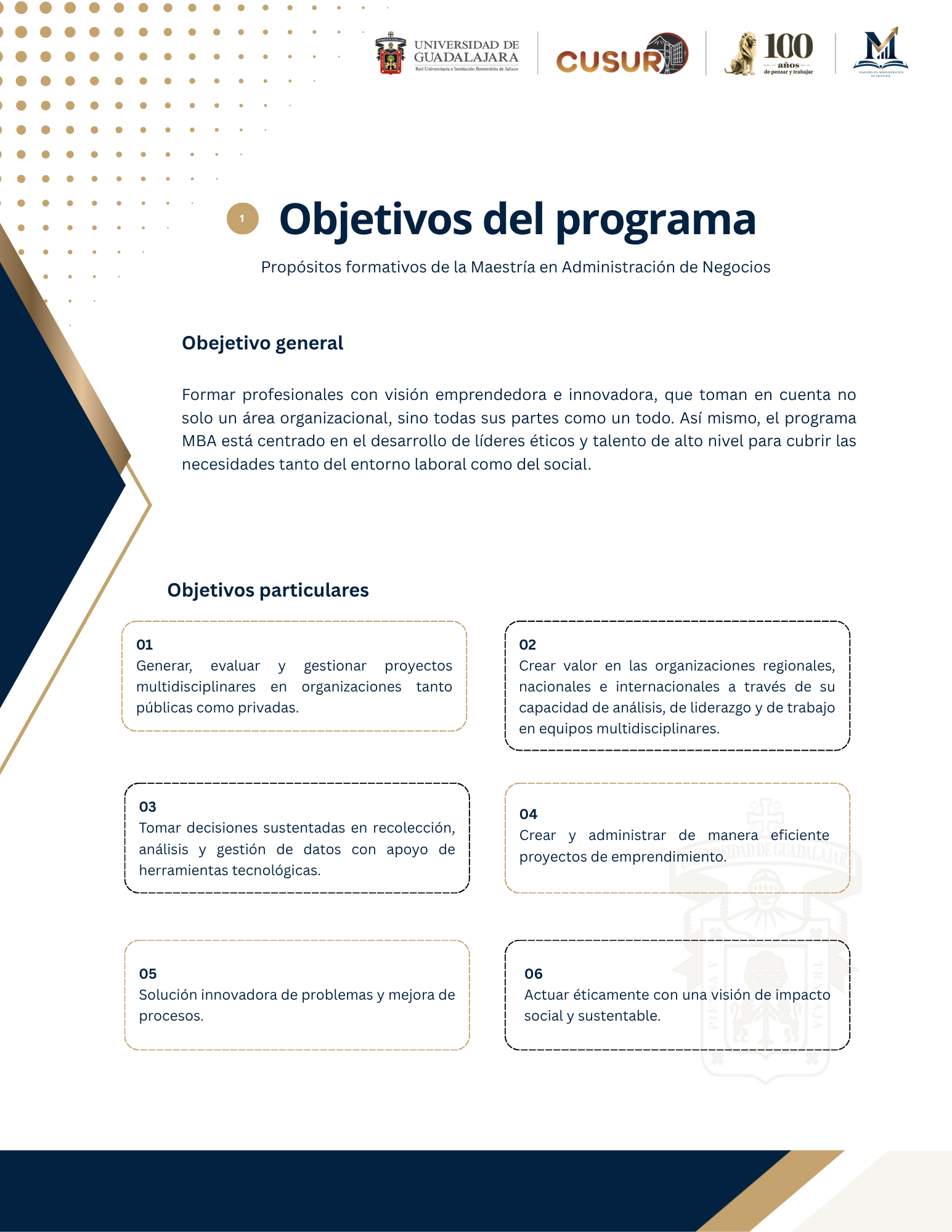 Objetivos del programa