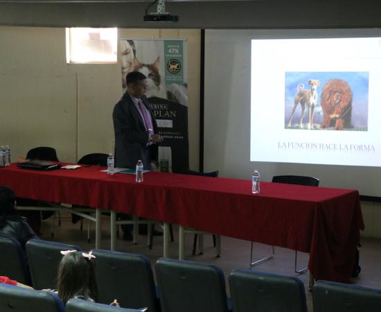 Presentan el Primer match de belleza canina en el CUSur