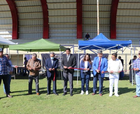 Presentan el Primer match de belleza canina en el CUSur