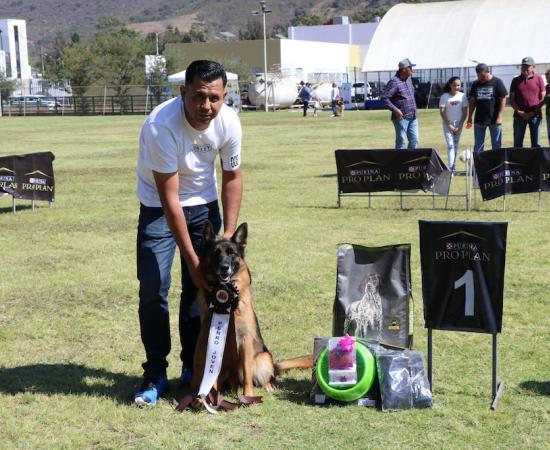 Presentan el Primer match de belleza canina en el CUSur